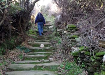 Μονοπάτια Ka1 - Ka2 Άνδρος